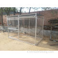 canile per cani da recinto di ferro grande all'aperto all'ingrosso